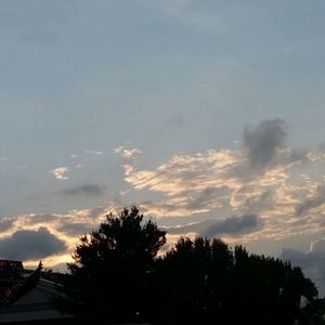 Meet your Posher, Monet